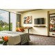 Panafric Executive Queen Room