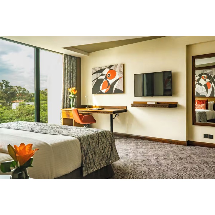 Panafric Executive Queen Room